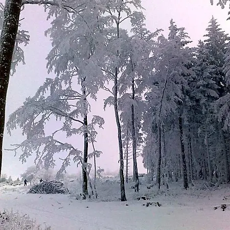 Heidehotel Hildfeld Winterberg