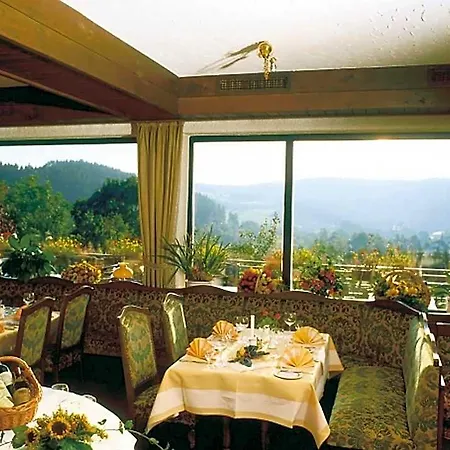 Heidehotel Hildfeld Otel Winterberg