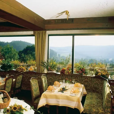 Heidehotel Hildfeld 3* Winterberg