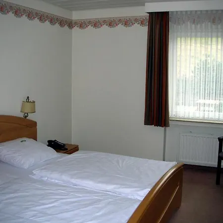 Heidehotel Hildfeld Винтерберг