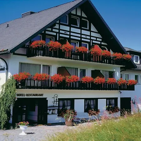 Heidehotel Hildfeld Hotel Winterberg