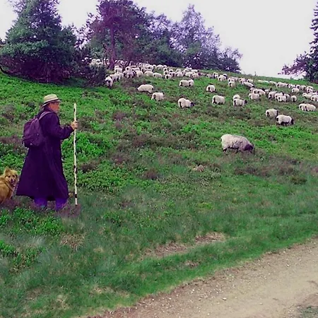 하이드호텔 힐드펠트 빈터베르크