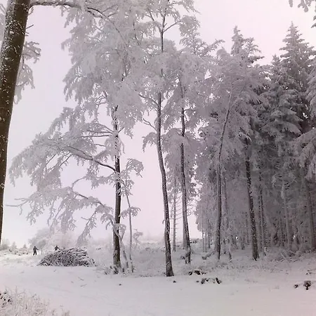 Hotel Heidehotel Hildfeld