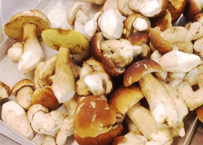 Hotel Heidehotel Hildfeld