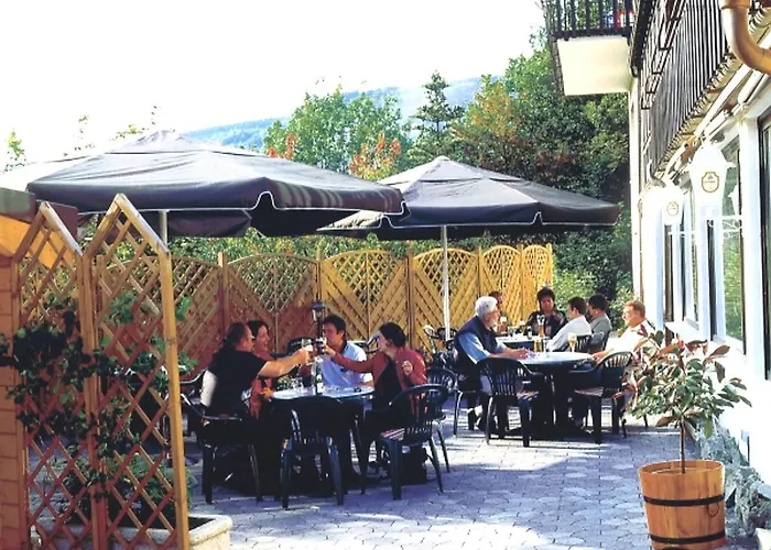 Heidehotel Hildfeld Hotel Winterberg