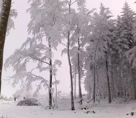 Hotel Heidehotel Hildfeld