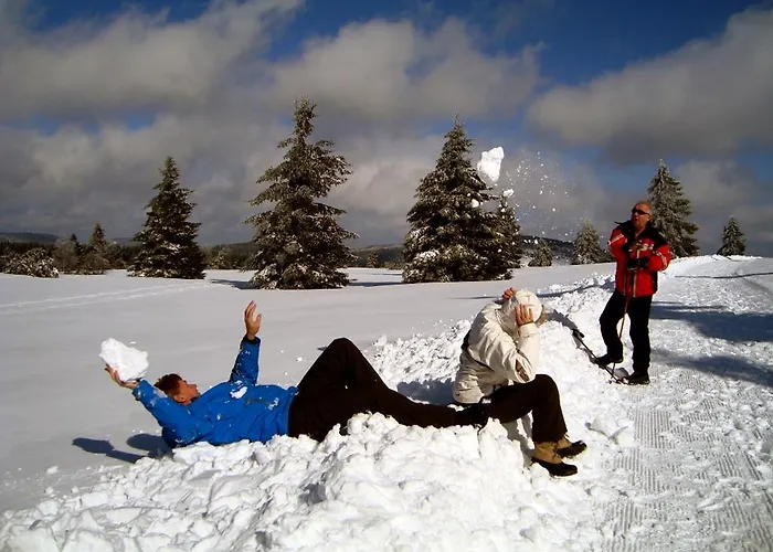 Heidehotel Hildfeld Hotel